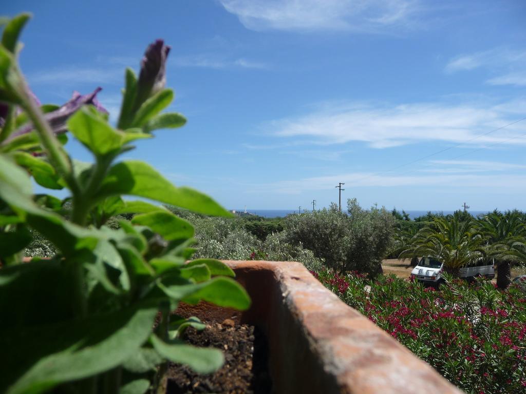 Masseria Serine Леука Экстерьер фото